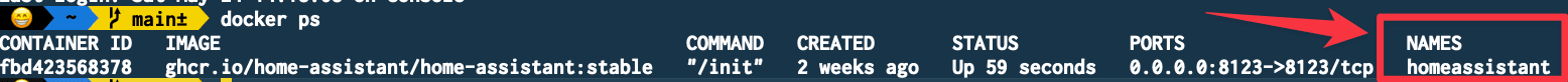 Docker PS Command Output