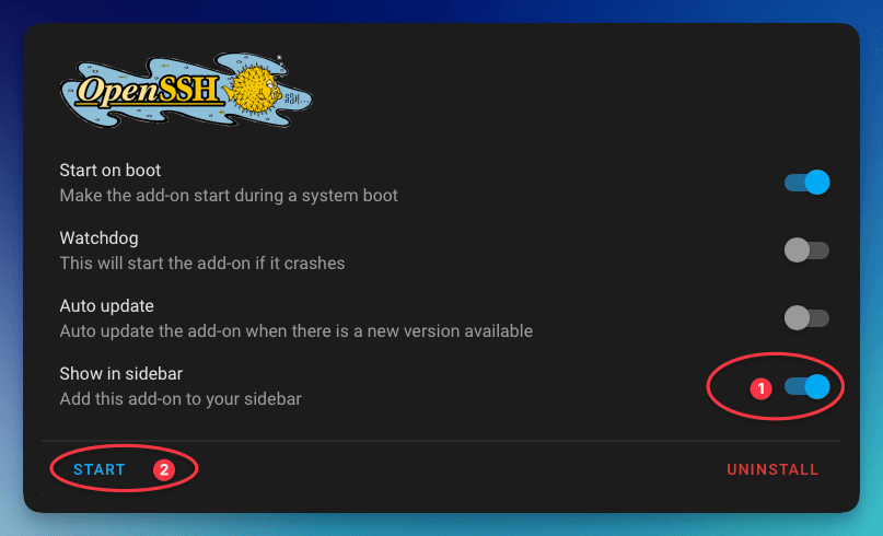 Terminal & SSH Options